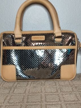 Consuela Metallic Satchel with Tan Trim